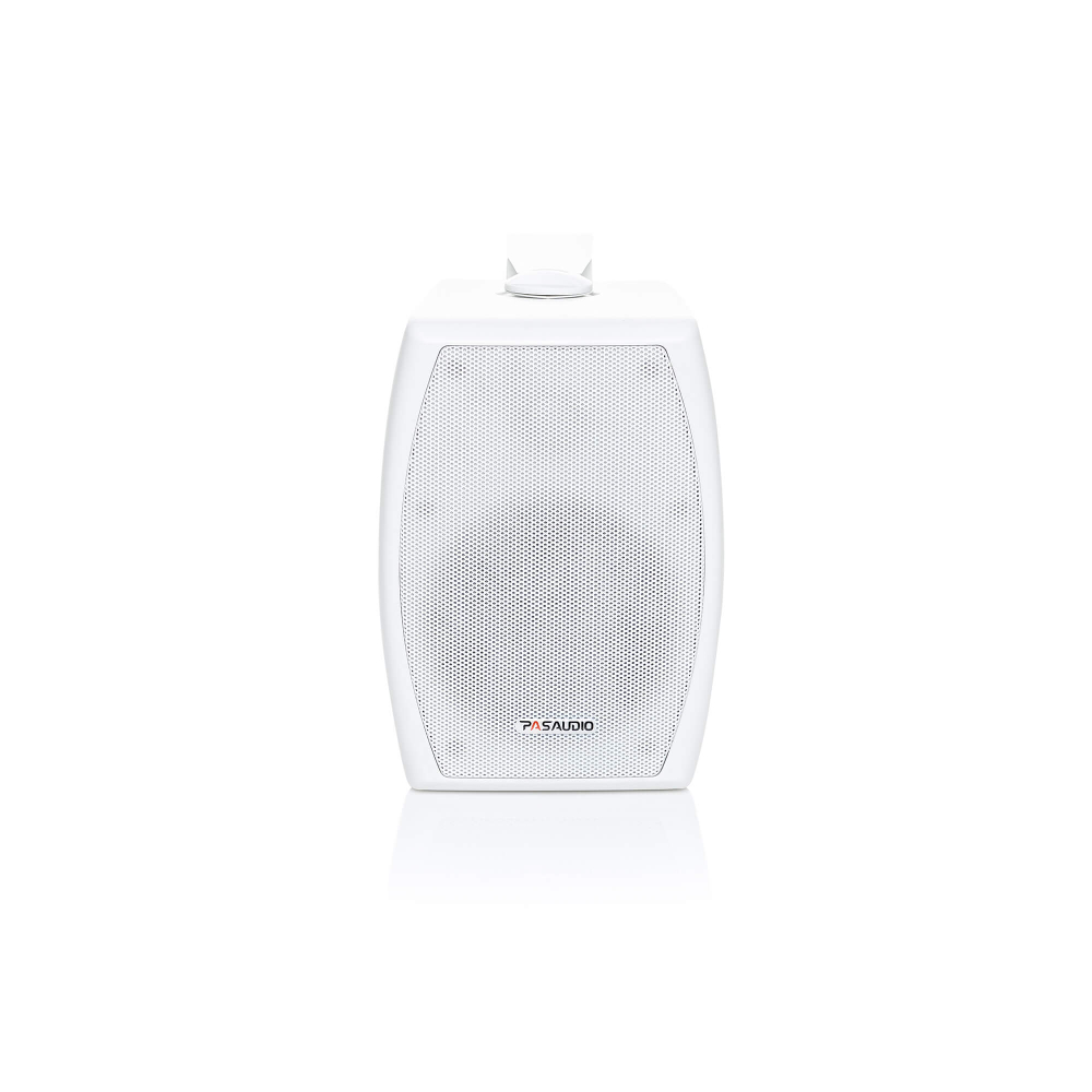 PASystem EVA-30W Настенный трансляционный громкоговоритель