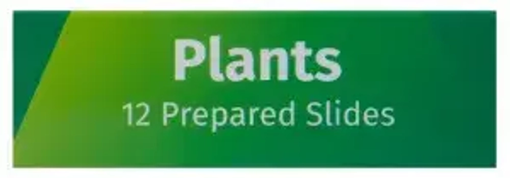 Набор микропрепаратов Levenhuk LabZZ P12, растения