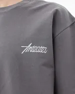 Футболка Anteater Phat 480 серая