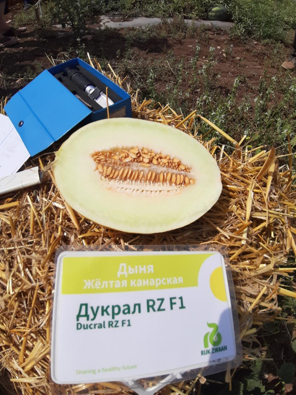 Дыня Дукрал F1 5шт ВитаГрин ЭКСТРА