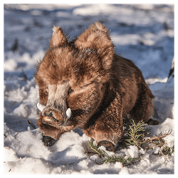 Мягкая игрушка из меха «Кабанчик»