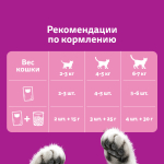 Желе с лососем, 75г корм для кошек влажный Whiskas