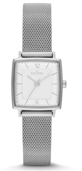 Наручные часы Skagen SKW2217