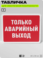 Табличка для обеспечения безопасности "Только аварийный выход", для офиса, по охране труда для предприятия, организаций, 40х30 см, Silver Plane x Айдентика Технолоджи