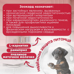 Зоокард Пчелодар Средство для лечения заболеваний сердца у кошек, 1,2 мг, таблетки, 10 шт. Рамиприл.
