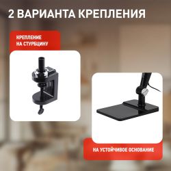 Настольный светильник ЭРА NLED-497-12W-BK светодиодный на струбцине и с основанием черный