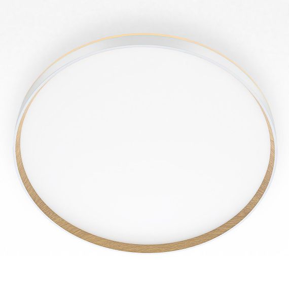 Потолочный светодиодный светильник Citilux Etalon CL750500R