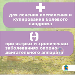 Мелоксидил Сева (Ceva) для собак суспензия для орального применения, 1.5 мг/мл, фл. 32 мл. Мелоксикам.