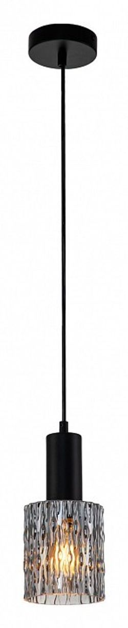 Подвесной светильник Escada Rain 10189/1S Black