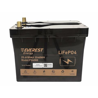Тяговая аккумуляторная батарея Everest LFP-24V80Аh-PRO + LCD + Bluetooth