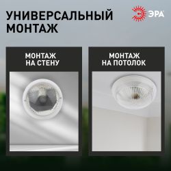 Светильник ЭРА НБП 06-60-001 Сириус поликарбонат IP54 E27 max 60Вт D220 круг призма