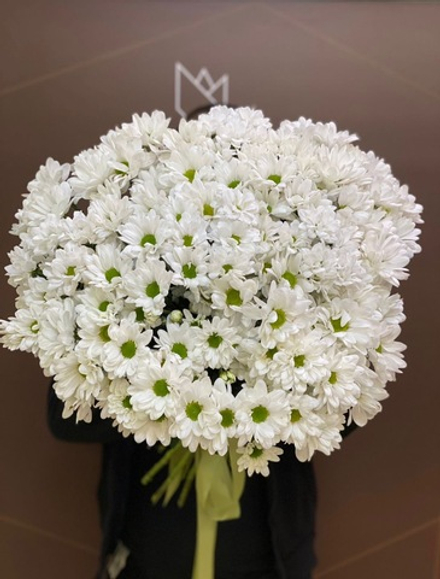 Букет Хризантема М-16