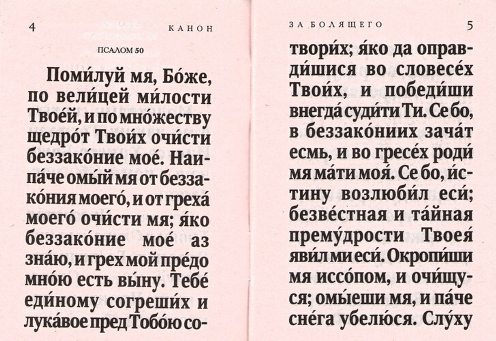 Канон за болящего. С приложением молитв Божией Матери и святым об исцелении болящих (карманный формат)