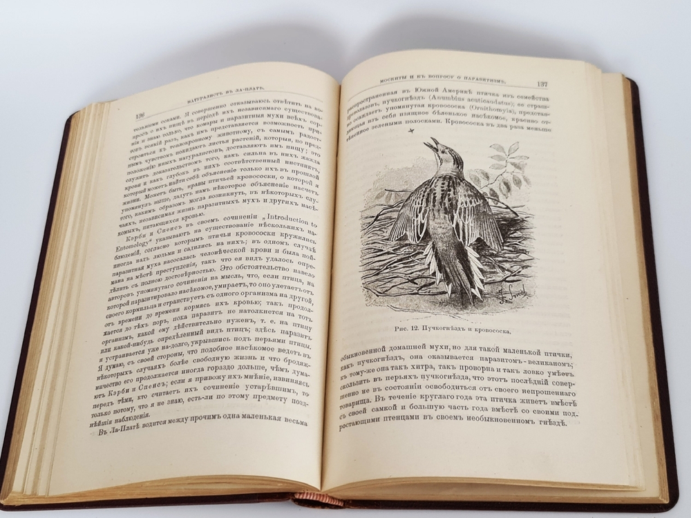 "Натуралист в Ла-Плате"  У.Г.Хадсон  1896 г. - антикварное издание