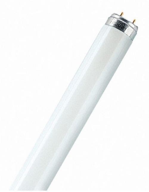 Лампа люминесцентная G13 OSRAM L36/640 d26x1200mm 2850lm 4000K