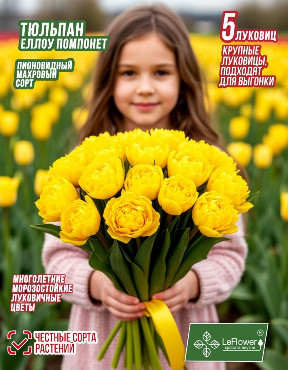 Тюльпан Луковица, Еллоу Помпонет 5шт, разбор 11+