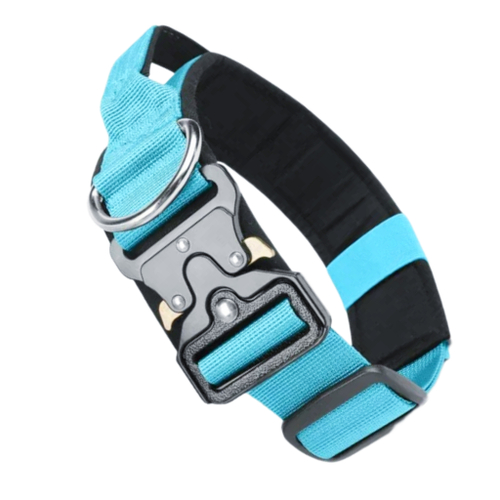 Ошейник широкий с ручкой пряжкой "кобра"