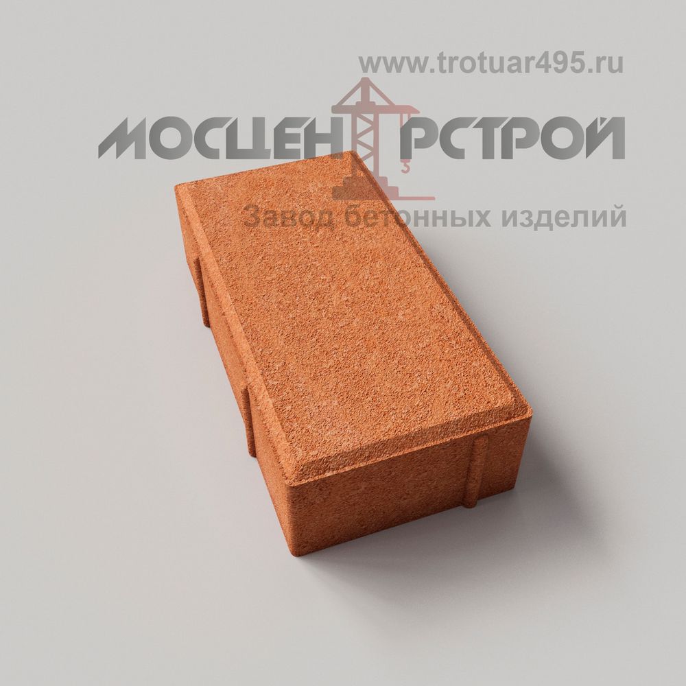 Брусчатка 250х125х60
