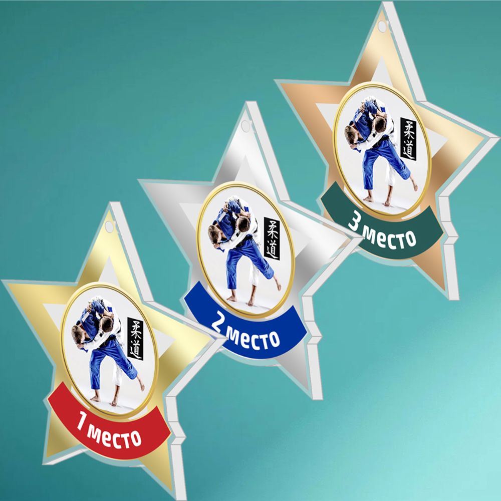 Акриловая медаль Дзюдо 1733