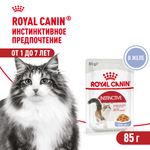 Royal Canin Instinctive Инстинктив Корм влажный для взрослых кошек в возрасте от 1 года до 7 лет желе 85г