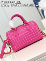 Louis Vuitton Speedy 20