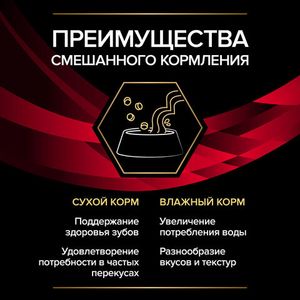 Влажный корм для кошек Pro Plan Veterinary Diets DM при диабете, 195гр