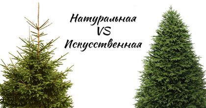 7.	Сравнение: натуральные vs. искусственные ёлки – что выбрать?