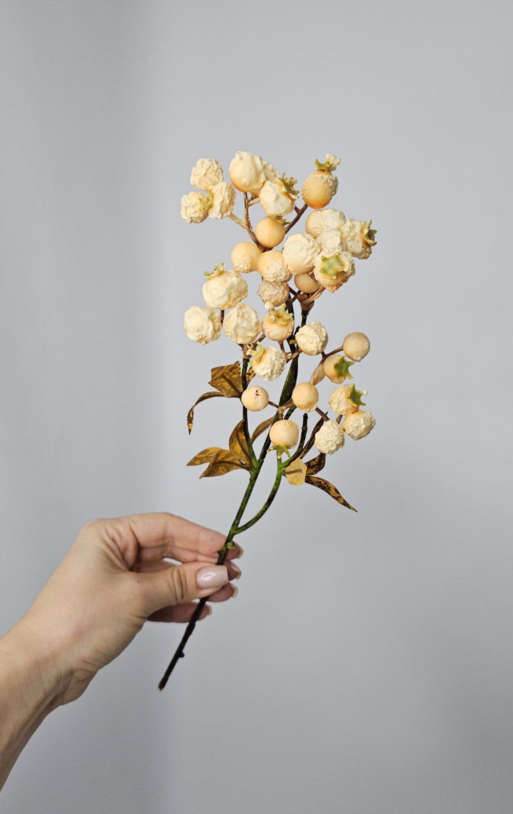 Ягоды / Арт 8051