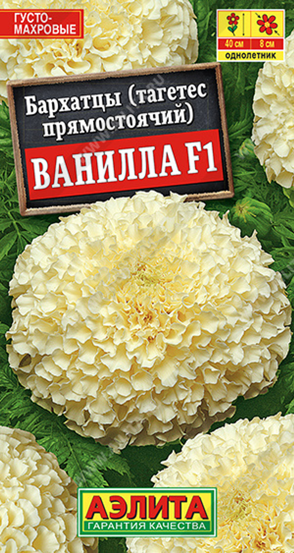 Бархатцы Ванилла F1 прямостоячие 7шт Аэлита