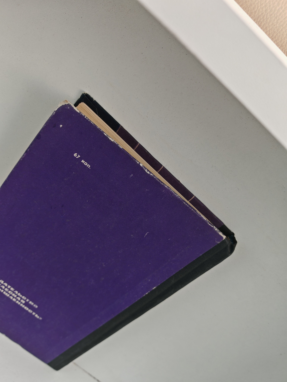 Звери начеку. Органы чувств и поведение животных