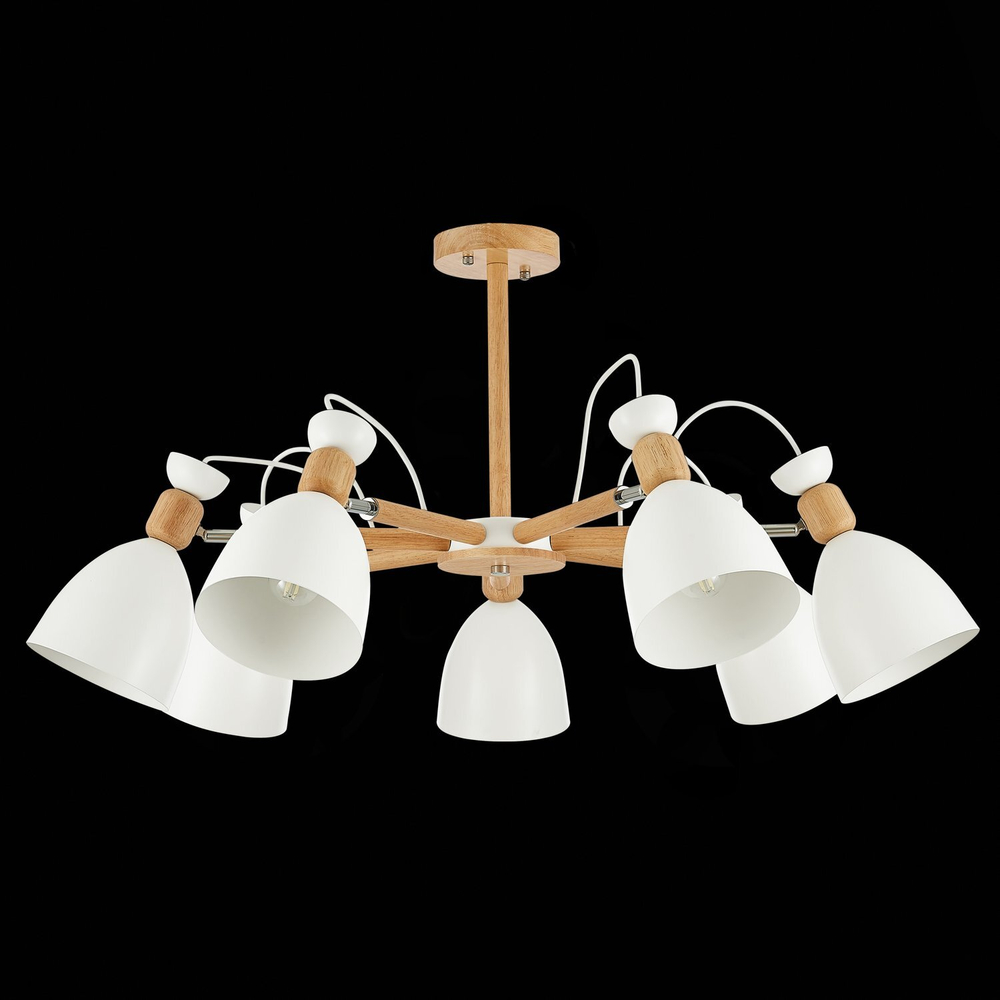 Светильник потолочный Evoluce Balcamo SLE103802-07