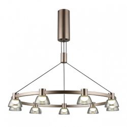 Подвесная люстра Aployt Rezeda APL.788.03.09