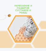 ОРТОДОН PREMIUM ортопедический игровой развивающий коврик