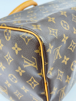 Сумка Louis Vuitton Speedy 30