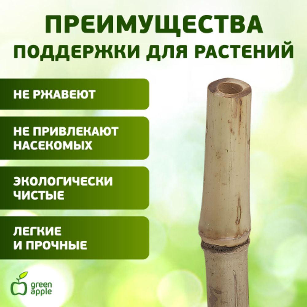 GBS-10-120 GREEN APPLE Поддержка бамбуковая 120см o 10мм набор 5шт | GREEN APPLE