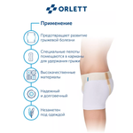 Бандаж для удержания грыжи Orlett HB-484