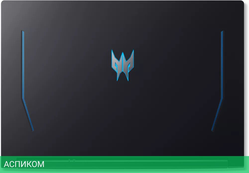 Ноутбук Acer Predator Helios 300 PH317-55-5306 NH.QB6EX.00N