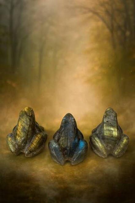 Фигура из Лабрадора - Лягушка