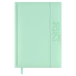 Ежедневник датированный А5 176л. 2025г мятный кожзам "ESCALADA. ИЛОН МАСК" (Феникс+)