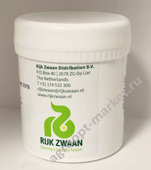 КРАНЧИТА семена салата (Rijk Zwaan | Alexagro) – фото 26