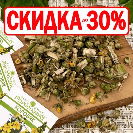 Коровяк (трава)