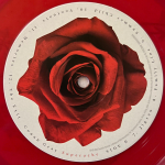 Conan Gray / Superache (Coloured Vinyl)(LP)