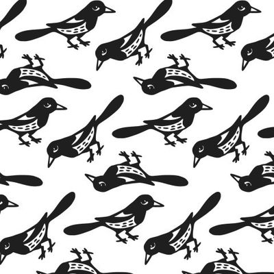 Black and white animals magpies