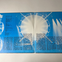 Винтажная виниловая пластинка LP Pink Floyd Delicate Sound Of Thunder (СССР 1989)