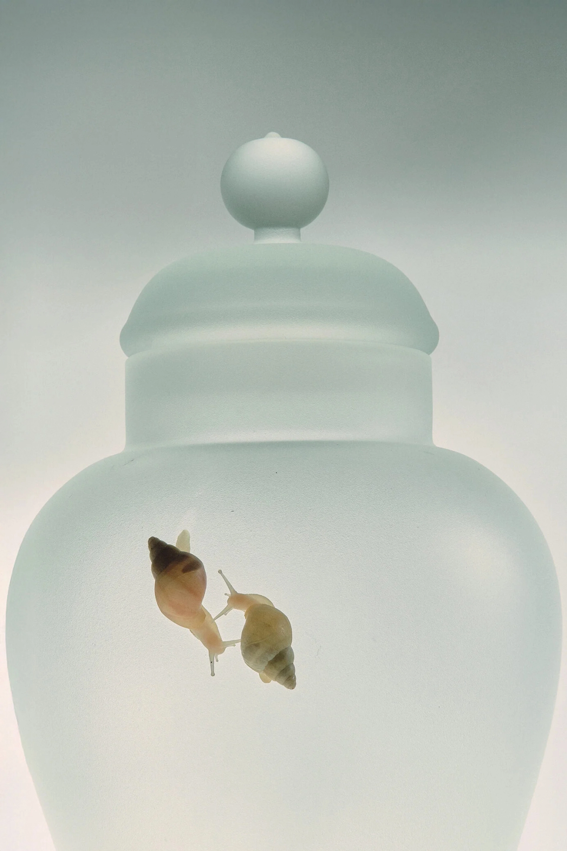 Ваза Жемчужина