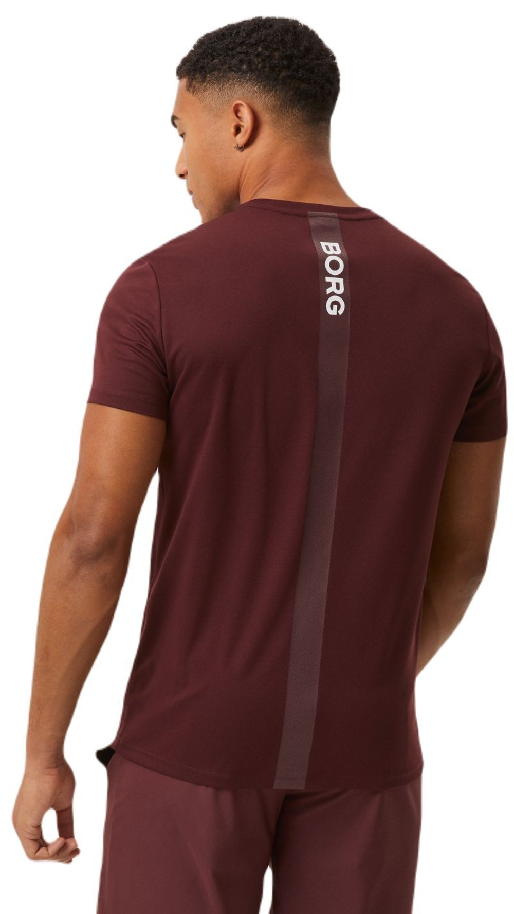 Мужская теннисная футболка Björn Borg Ace T-Shirt Stripe - decadent chocolate