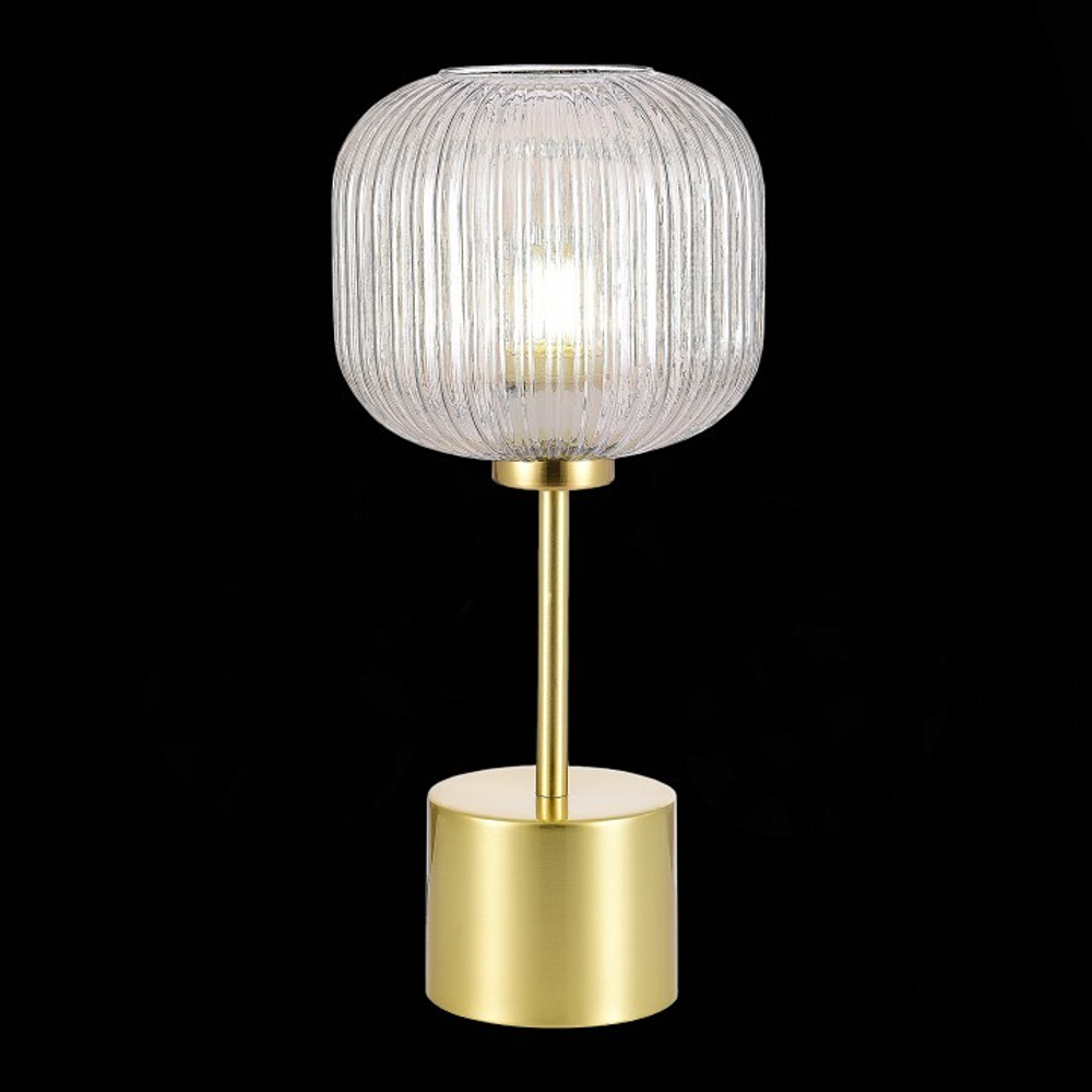 Настольная лампа ST-Luce SL1154.314.01