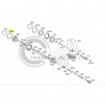 0059978648 O-Ring OEM