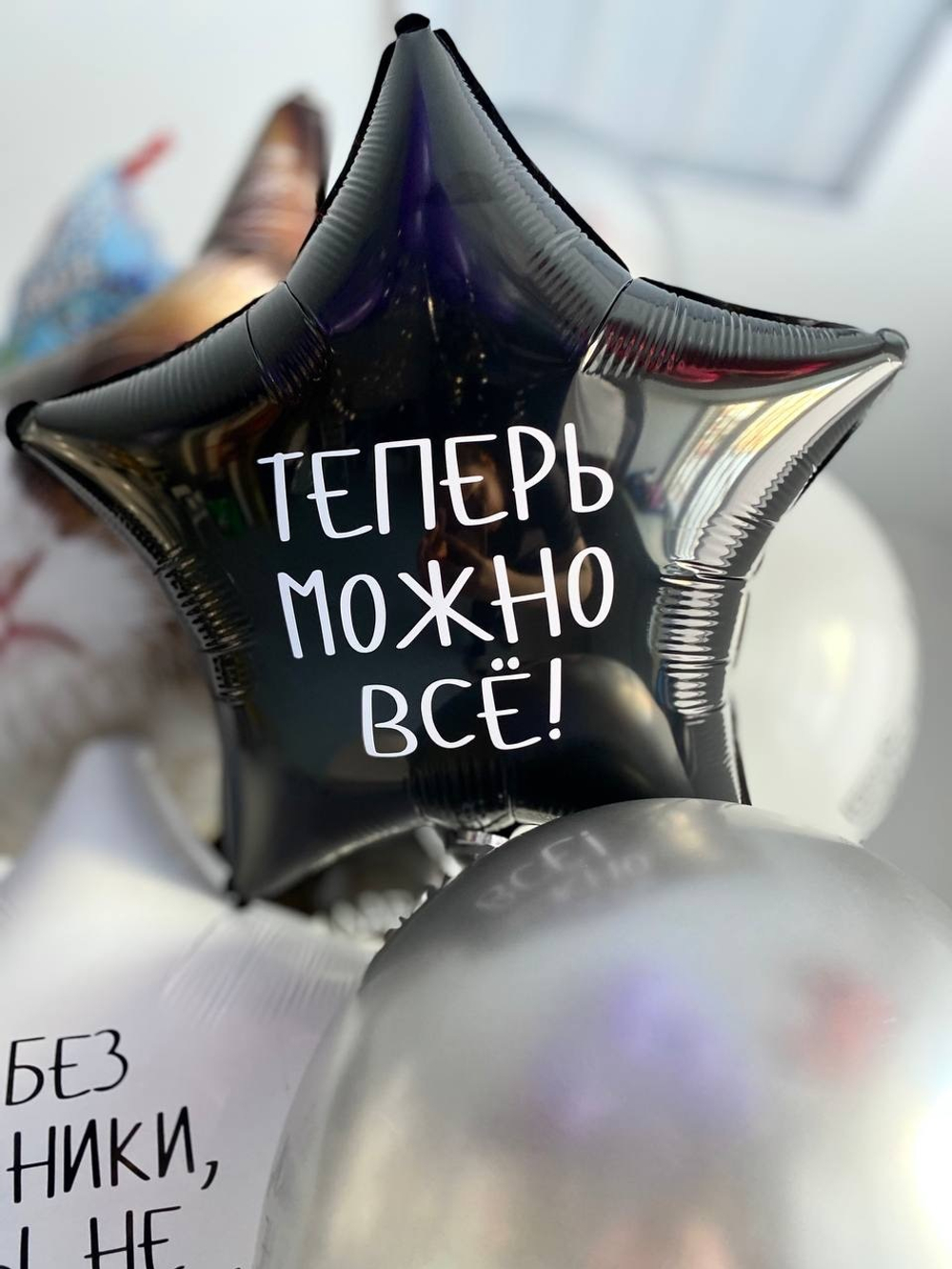 Вздушные шары Кот "Без паники, ты не старенький" №2056