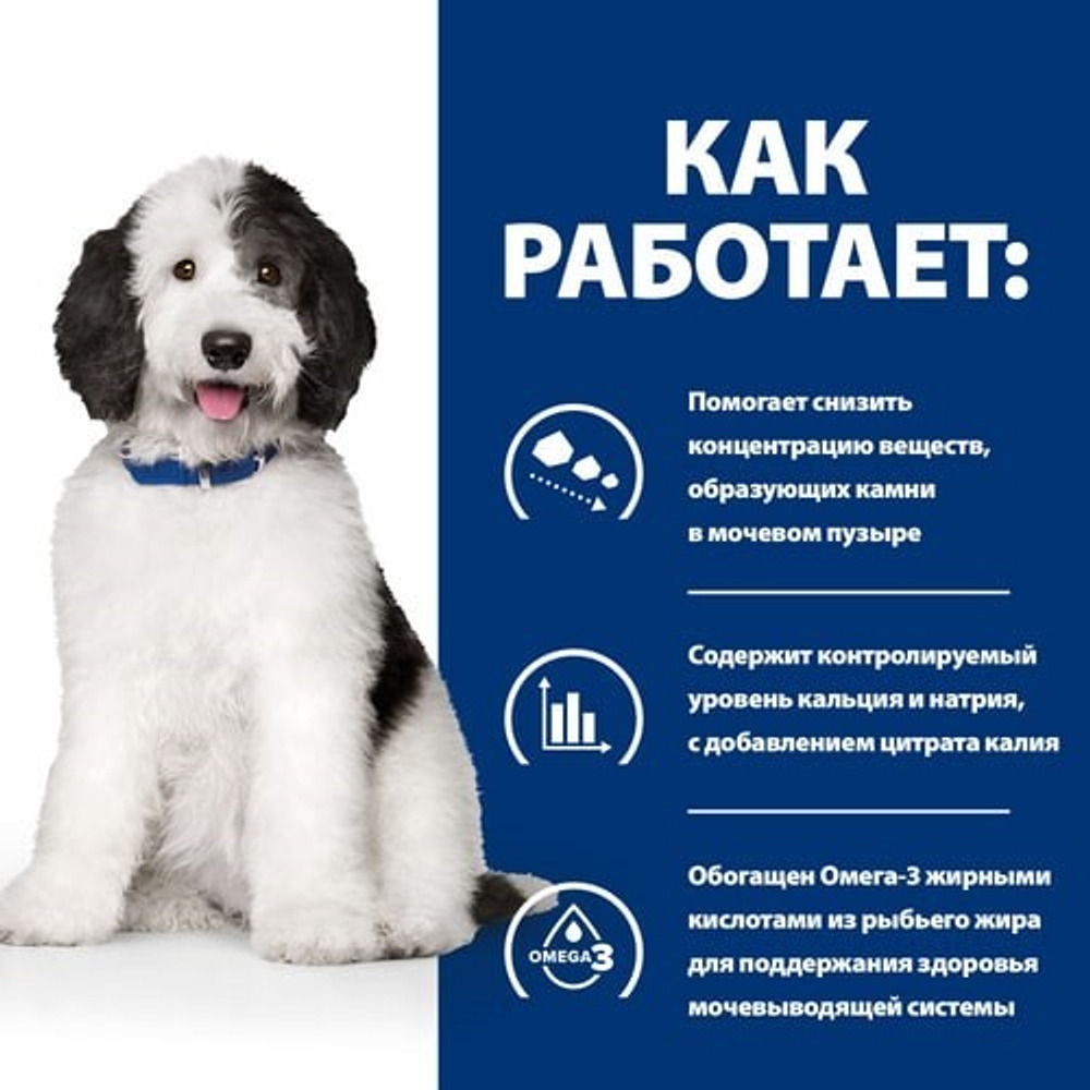 Hill's Canine c/d - диета для собак с проблемами МКБ, струвиты